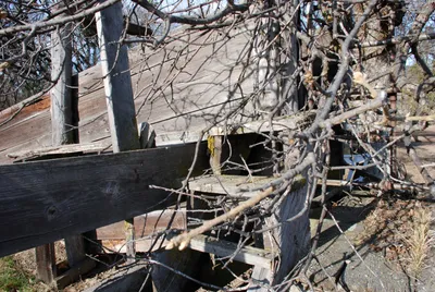 DSC_0021 (Large).JPG